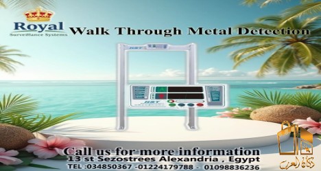 بوابة الكشف عن المعادن